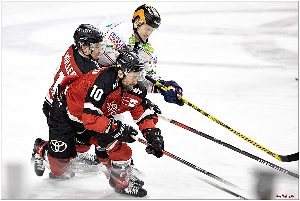 PENNY DEL;  Koelner Haie - Eisbaeren Berlin; Koeln, 28.12.2021
